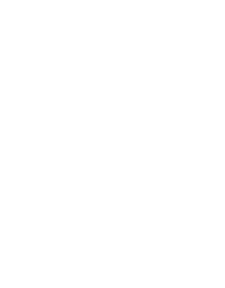logo iram