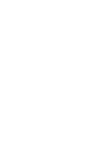 logo iram